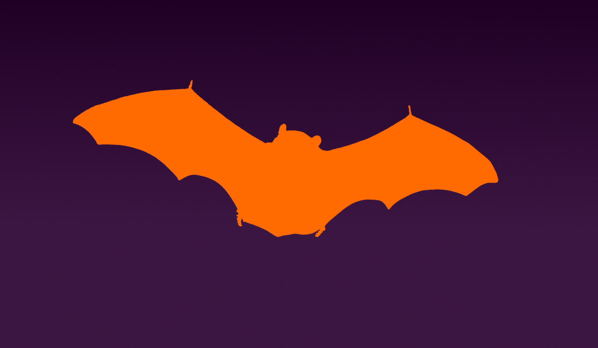 bat silhouette