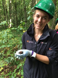 Engain bat expert, Ellie