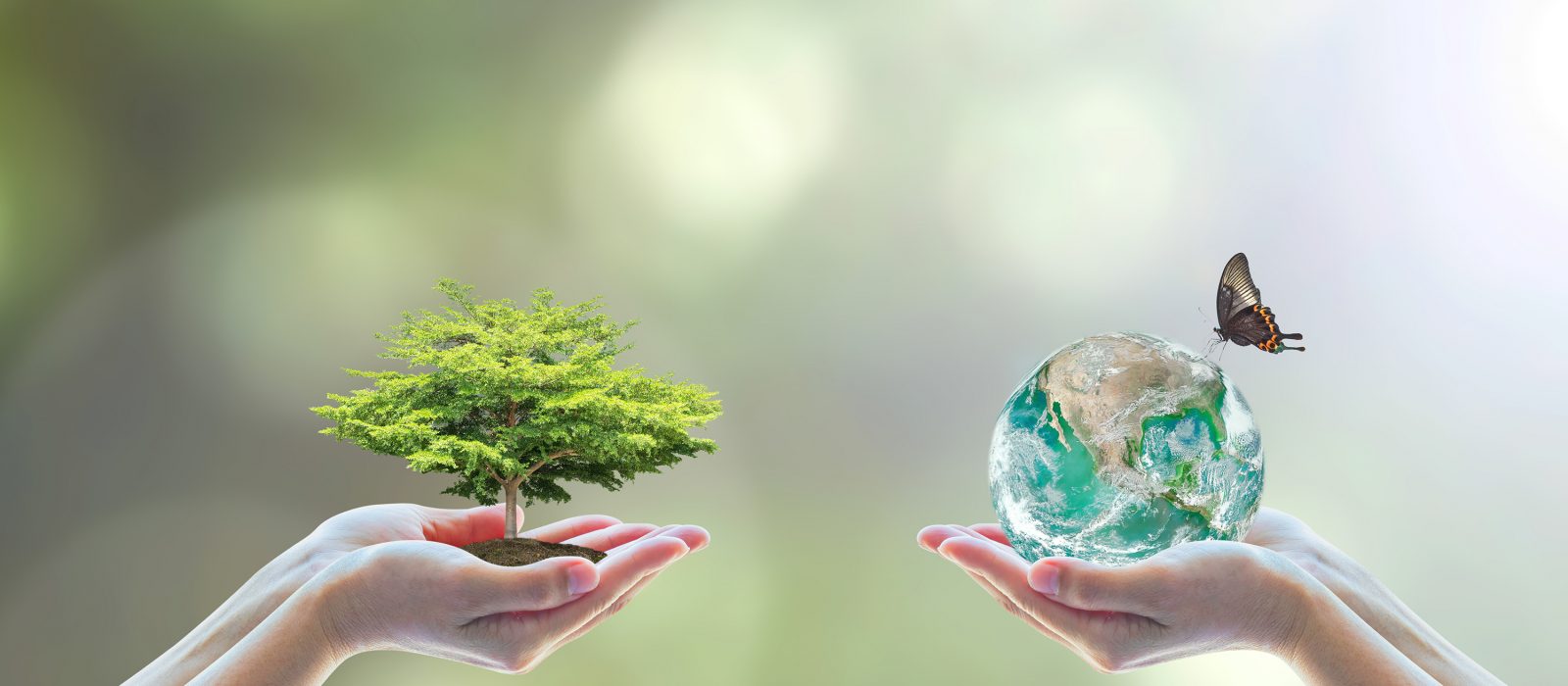 Biodiversity