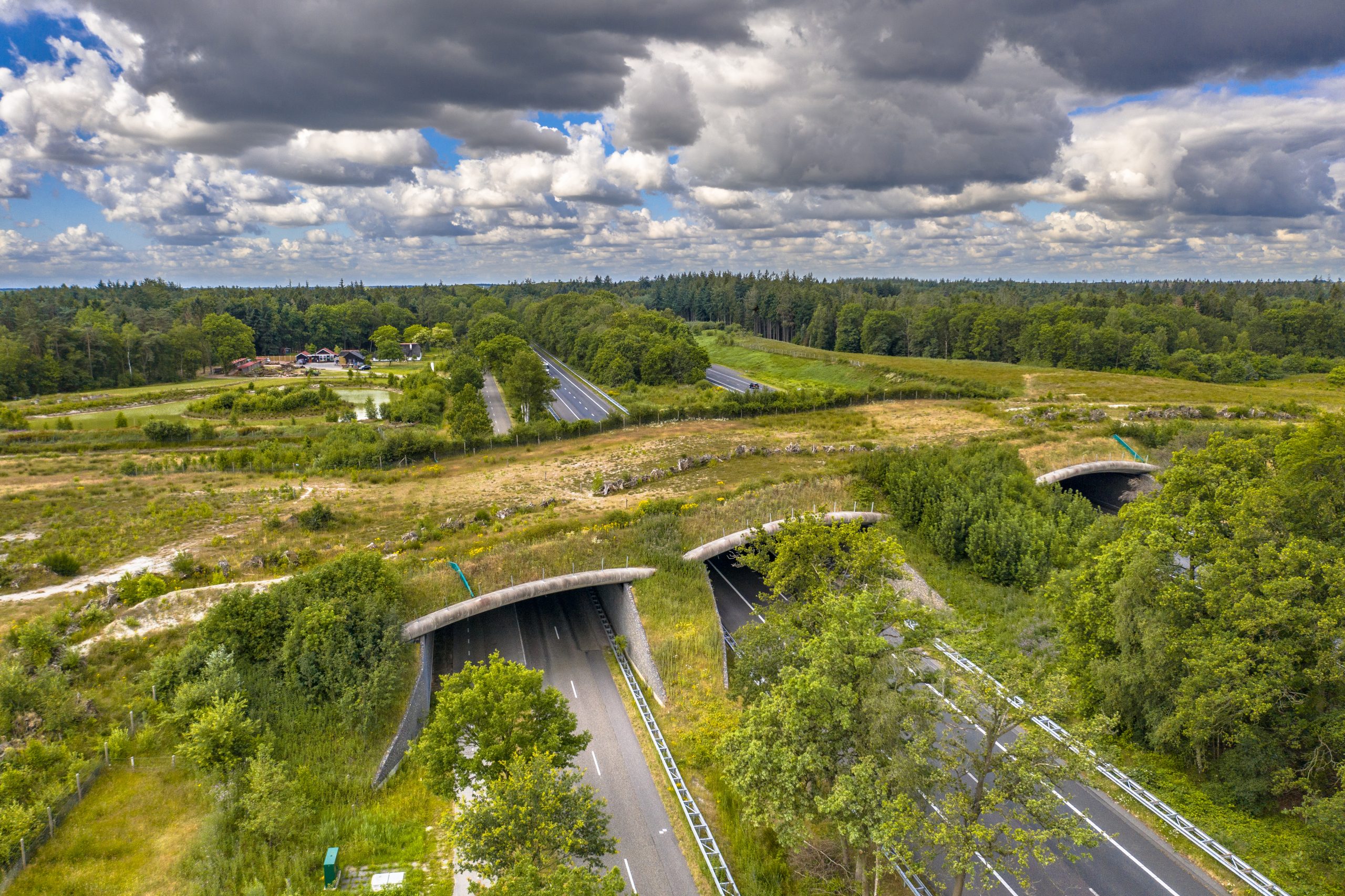 Aerial View Of Ecoduct Wildlife Crossing At Dwingelderveld National Park