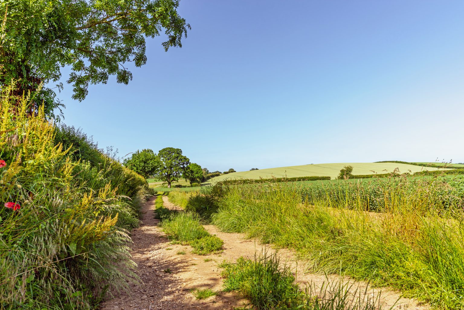 Engain Biodiversity – Construction Ecological Management Plan - Engain